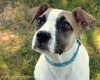 Tot - ADOPTED 03.28.13