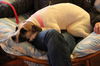 Tot - ADOPTED 03.28.13