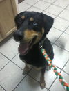 Manny - 07.13.12