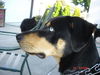 Manny - 07.13.12