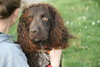 Woofie - ADOPTED 05.16.12