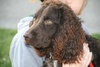 Woofie - ADOPTED 05.16.12
