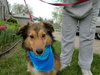 Shamus - ADOPTED 05.21.12