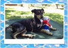 Sebastian-ADOPTED 09.22.12