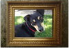 Sebastian-ADOPTED 09.22.12