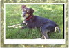 Sebastian-ADOPTED 09.22.12