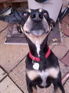Sebastian-ADOPTED 09.22.12
