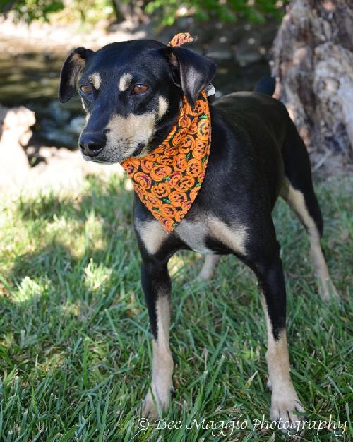 Sebastian-ADOPTED 09.22.12