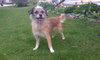 Thumbelina-ADOPTED 02.03.13