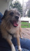 Thumbelina-ADOPTED 02.03.13
