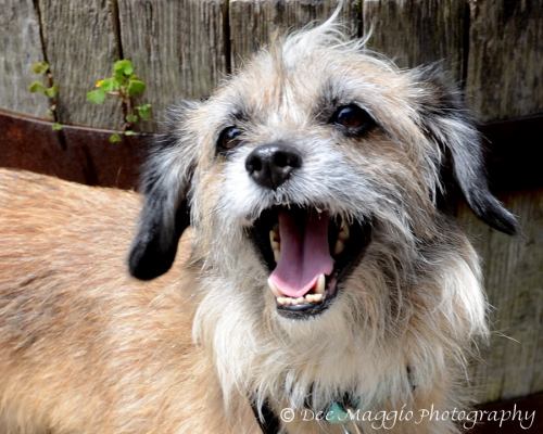 Thumbelina-ADOPTED 02.03.13