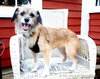 Thumbelina-ADOPTED 02.03.13