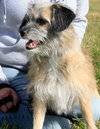 Thumbelina-ADOPTED 02.03.13