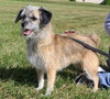 Thumbelina-ADOPTED 02.03.13