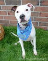 Finnegan-ADOPTED 06.22.13