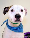Finnegan-ADOPTED 06.22.13