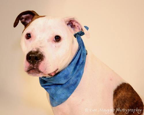 Finnegan-ADOPTED 06.22.13