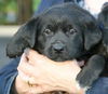 Xe Litter-Olivia - ADOPTED 5.23.12