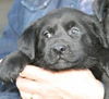 Xe Litter-Olivia - ADOPTED 5.23.12