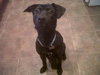 Angel-ADOPTED 05.19.12