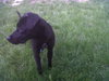 Angel-ADOPTED 05.19.12