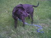 Angel-ADOPTED 05.19.12