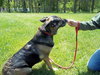 Micha-ADOPTED