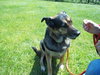 Micha-ADOPTED