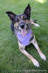 Micha-ADOPTED