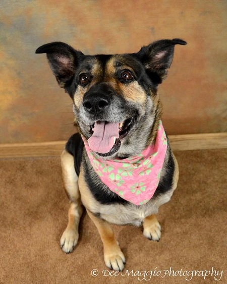 Micha-ADOPTED