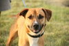 Andre-ADOPTED-6.10.12