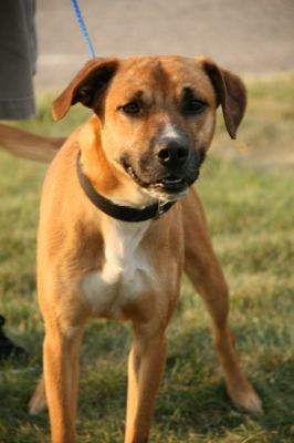 Andre-ADOPTED-6.10.12