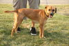 Andre-ADOPTED-6.10.12