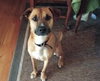 Andre-ADOPTED-6.10.12