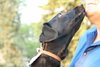 Mirabelle - ADOPTED 06.13.12