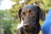 Mirabelle - ADOPTED 06.13.12