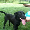 Mirabelle - ADOPTED 06.13.12