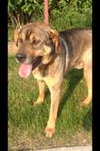 Brady-ADOPTED-6.10.12
