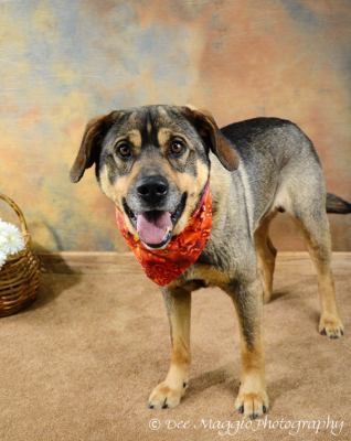 Brady-ADOPTED-6.10.12