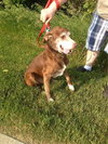 Wrangler-ADOPTED 09.21.12