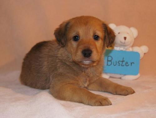 Ze Litter-Buster - ADOPTED 06.17.12