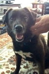 River - ADOPTED 09.01.12