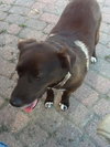 River - ADOPTED 09.01.12