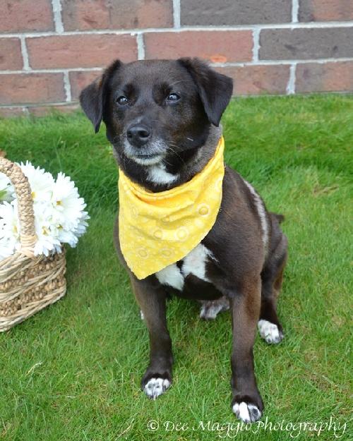 River - ADOPTED 09.01.12