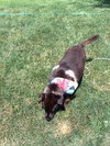 River - ADOPTED 09.01.12