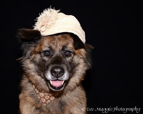 Muffy-ADOPTED 04.13.13