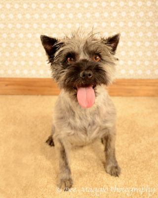 Brinn-ADOPTED-7.1.12