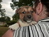 Ff Litter-Zella-ADOPTED