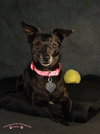 Minnie Mouse-ADOPTED 09.05.12