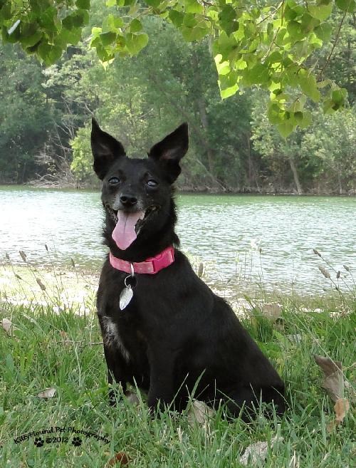 Minnie Mouse-ADOPTED 09.05.12